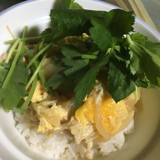 黄金のふわとろ親子丼！